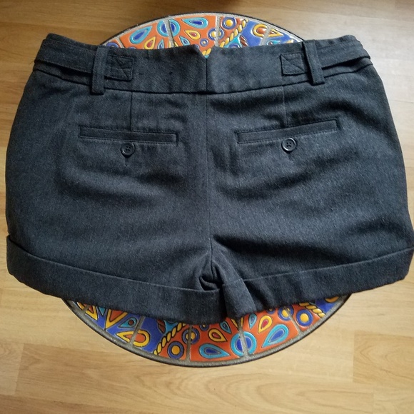 Express Shorts - Picture 2 of 4